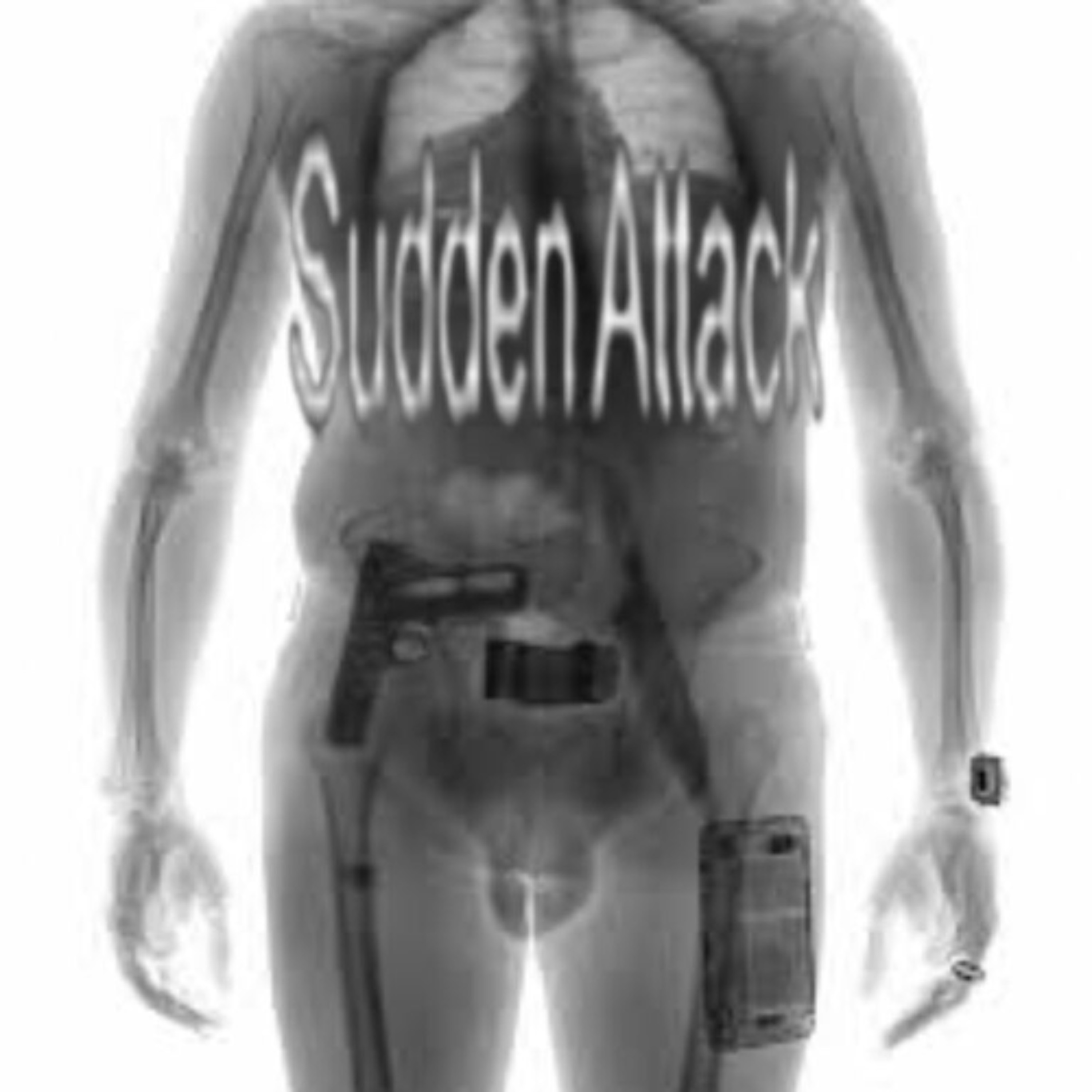 Sudden Attack - vizita Q & Riff Fool 06.21.26 | VISLA FM episode artwork