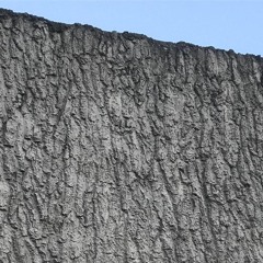 Walls
