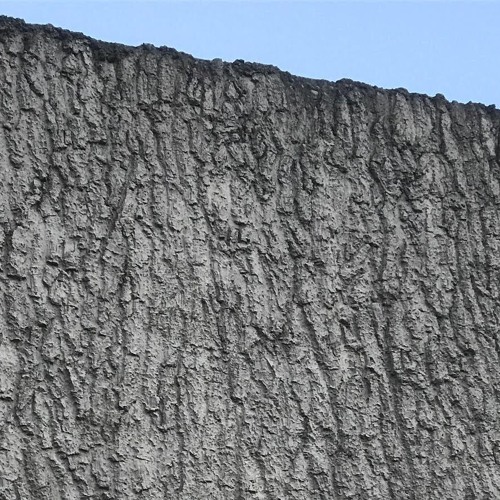 Walls