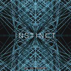 INSTINCT - Are You Dreaming? LP