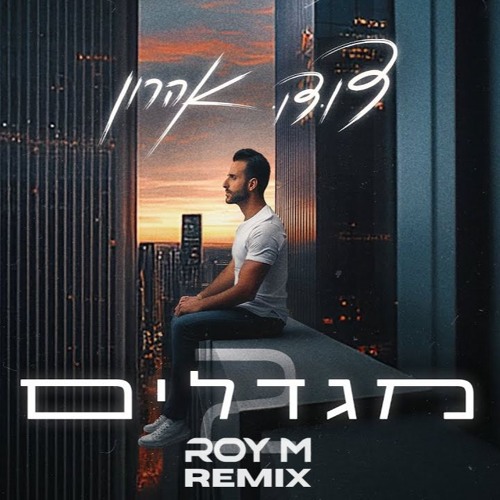 דודו אהרון - מגדלים 2 (Roy M Dancehall Remix)