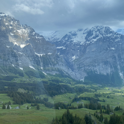 Surah Al Mulk - Umar sildinsky