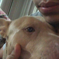 ZMONEY (PROD LUKE2K)