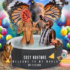COSY NGHTMRE - Peepodoo