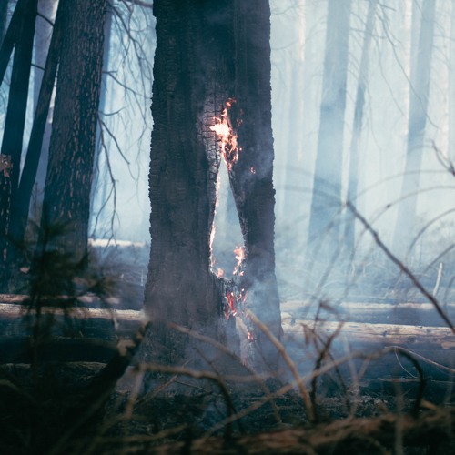 Feverkin 'Hollow Fire' EP [Out Now]