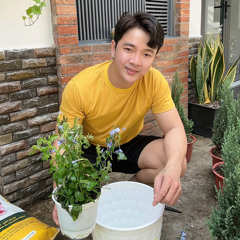 The Light Mỹ Tâm.mp3