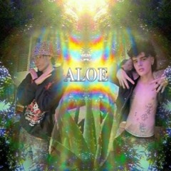 a l o e