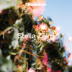 DIM318 - Stella Zekri