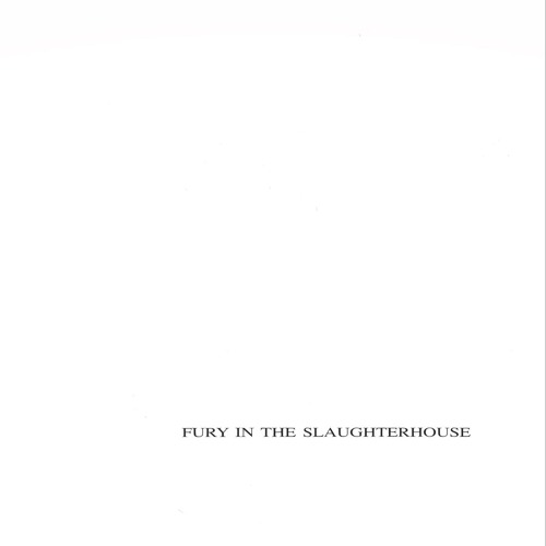 Fury in the Slaughterhouse