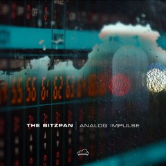 03. The Bitzpan - Organic Journey