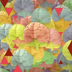 Neurodiversiteit: elk brein uniek? | Amy De Roubaix en Léon de Bruin