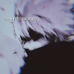 White roses🌹🤍