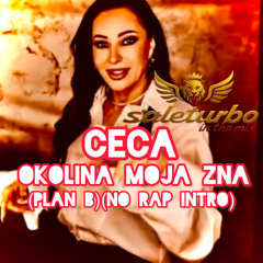 Ceca - Okolina moja zna (Plan B)(saleturbo 'No Rap' Intro)
