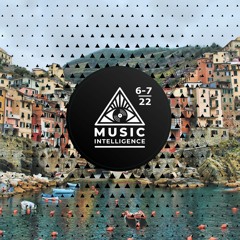 Music Intelligence Podcast #72 (June / July 2022)
