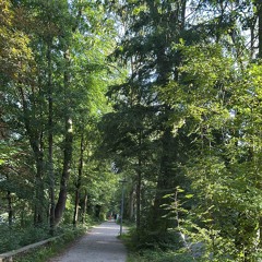 Summer Mix - Melodic House Set | Aug 2025