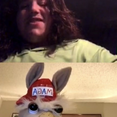 The Buddy System and Mexican Pizza with Mario Tonti