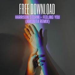 Harrison Storm - Feeling You (Amonita Remix)