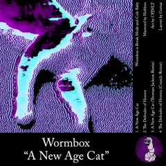 A New Age Cat