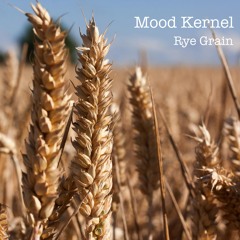 Rye Grain