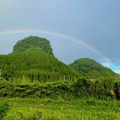 奄美大島 (Amami Ōshima)