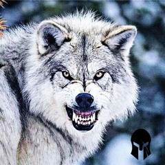 Meek Mill - Banshee Ft. Rick Ross Cardi B