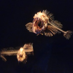 OUT THE WAY (instrumental)