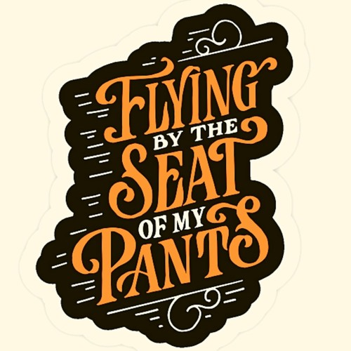 fly by the seat of your pants  The Blog Im Not Writing