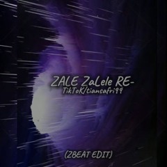 POCO POCO ZALELE [ ZBEAT REMIX ] NEW 2024 DEX STYLE TIAN SAFRI.mp3