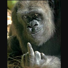 Encanto-Talkimg on the beat 2023 pt2