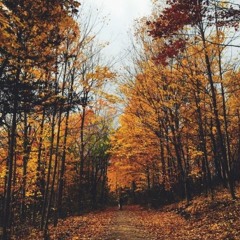 Nhành Lưu Ly - Lữ Hiếu x Sunset x WAGS (Censored X Remix)