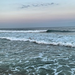 Coconut Grove (The Lovin Spoonful)