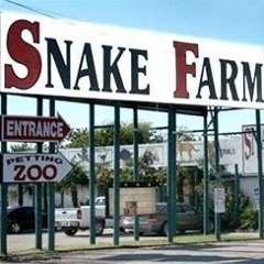 Deaconlight Featured