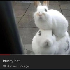 horror movies (all plats)