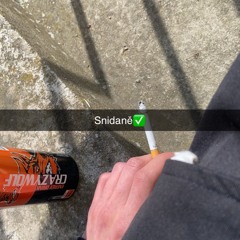 NEUROSNÍDANĚ III