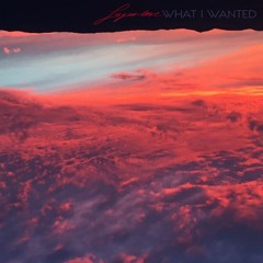 What I Wanted - FREE DOWNLOAD!