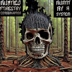 Да! Интересная песня (Yes! An Interesting Song)