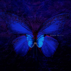 Dream On Fly
