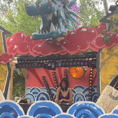 @Sensus Festival 2024