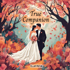 True Companion