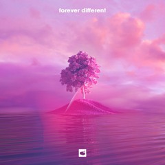 GOAST - Forever Different