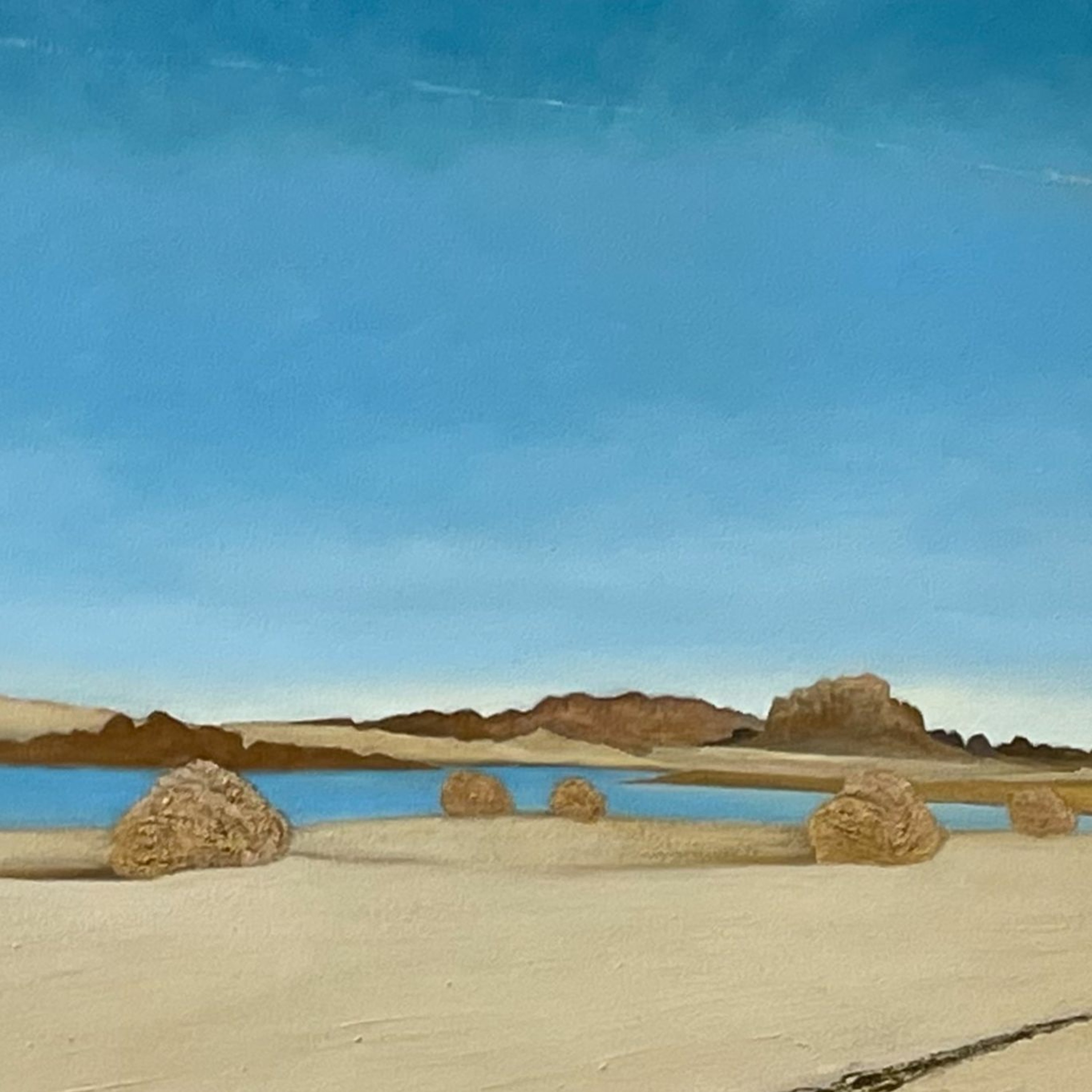 This Colorado River artist is demystifying the West's water problems episode artwork