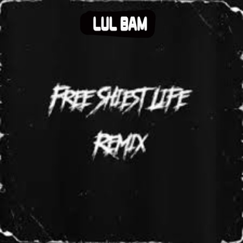 lul bam-Free Shiesty Life(remix)