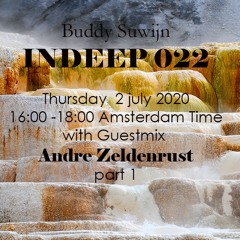 Andre Zeldenrust guestmix INDEEP 022 July 2020 @ PROTON RADIO
