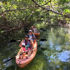 Review Special Price Mangroves And Manatees - Guided Kayak Eco Tour