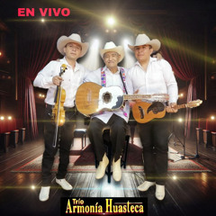 Cuando Salgo a los Campos (En Vivo)