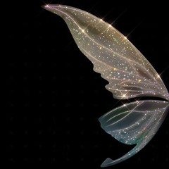 She Was A Fairy 🧚