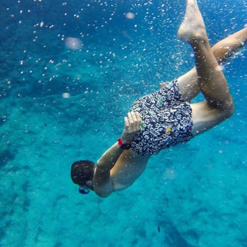 "Deep Dive with Live"