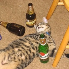 LARRY’s essentials