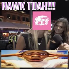 isnt a kitsune just a fox with a bunch of tails