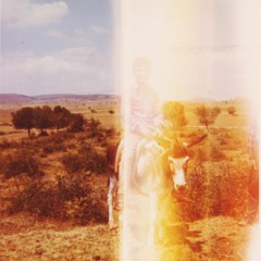 Karneval in der Lichtstraße *live